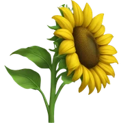 sunflower sticker