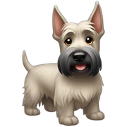 Scottish terrier bum sticker
