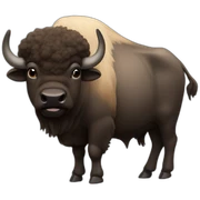 buffalo buffalo buffalo buffalo buffalo buffalo buffalo sticker