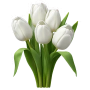 White tulips sticker