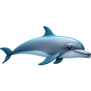 Dolphin  sticker