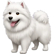 Samoyed  sticker