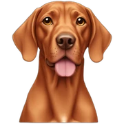 Vizsla sticker