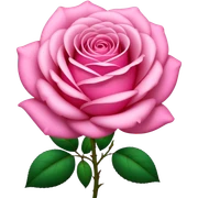 Pink sticker
