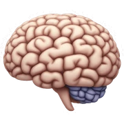 brain sticker