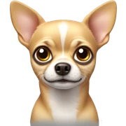 Chihuahua  sticker