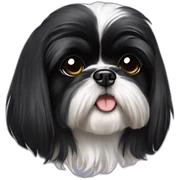 black shih tzu sticker