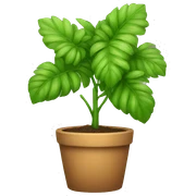 plant sticker