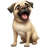 Pug barking sticker