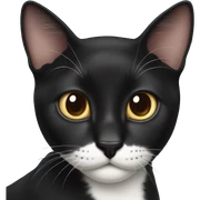  black Carey cat white neck sticker