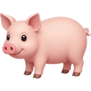 Pig sticker