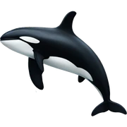 Orca sticker