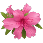 Azalea sticker