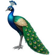 peacock sticker