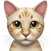 gay gay gay gay gay cat sticker