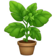 Plant sticker
