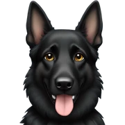 Black german shepherd  sticker