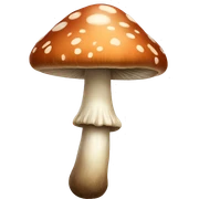 realistic mushroom  sticker