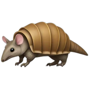 Armadillo sticker