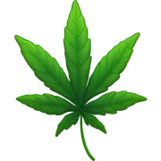 Weed leaf with smoke  sticker