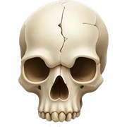 Animal skull sticker