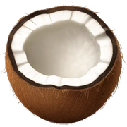 Coconut  sticker