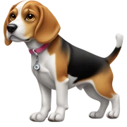 Beagle working out  sticker