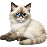 Ragdoll kitten laying sticker