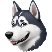 husky  sticker
