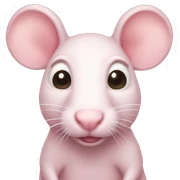 light pink rat sticker
