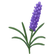lavender  sticker