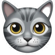 One eye missing grey cat sticker