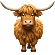 Highland cow sticker