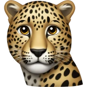 Leopard sticker
