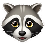 Cute raccoon  sticker