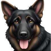 Black german shepherd sticker