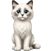Ragdoll kitten standing sticker