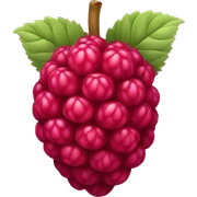 Raspberry sticker