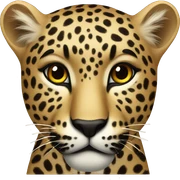Leopard sticker