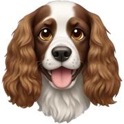 Dog spaniel sticker