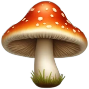 Poisonous mushrooms sticker