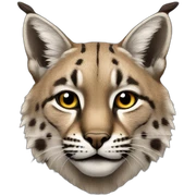 Bobcat sticker