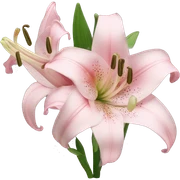 light pink lilium sticker