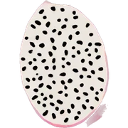 Dragon fruit  sticker