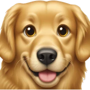 golden retriever with baked beans sticker