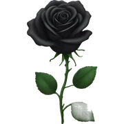 Black rose sticker