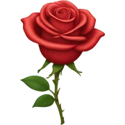 Red rose sticker