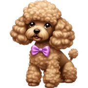 Poodle blown with bow sticker