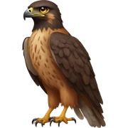 Hawk tuah sticker