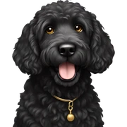  black golden doodle sticker